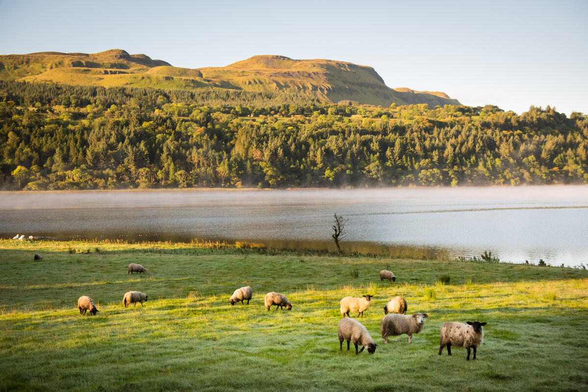 Community Project Leitrim