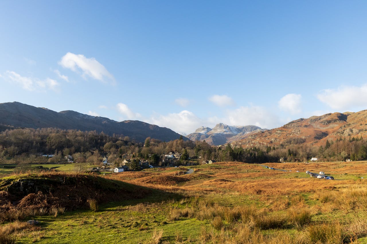 STRIDE Community Hub